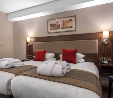Classic Twin Room at Heston Hyde Hotel in Hounslow, Middlesex, England